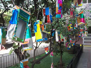 Construcción de comederos para pajaritos