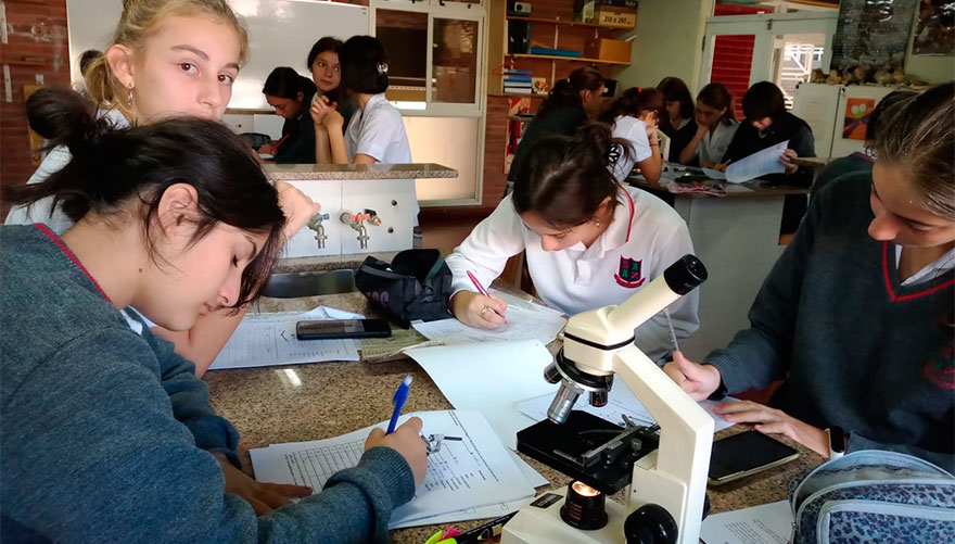1º Año aprende a usar el microscopio - Colegio San Javier