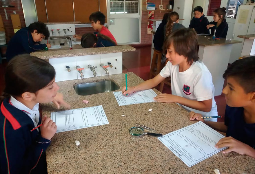 Junior 4 en el Labo de Ciencias   - Colegio San Javier