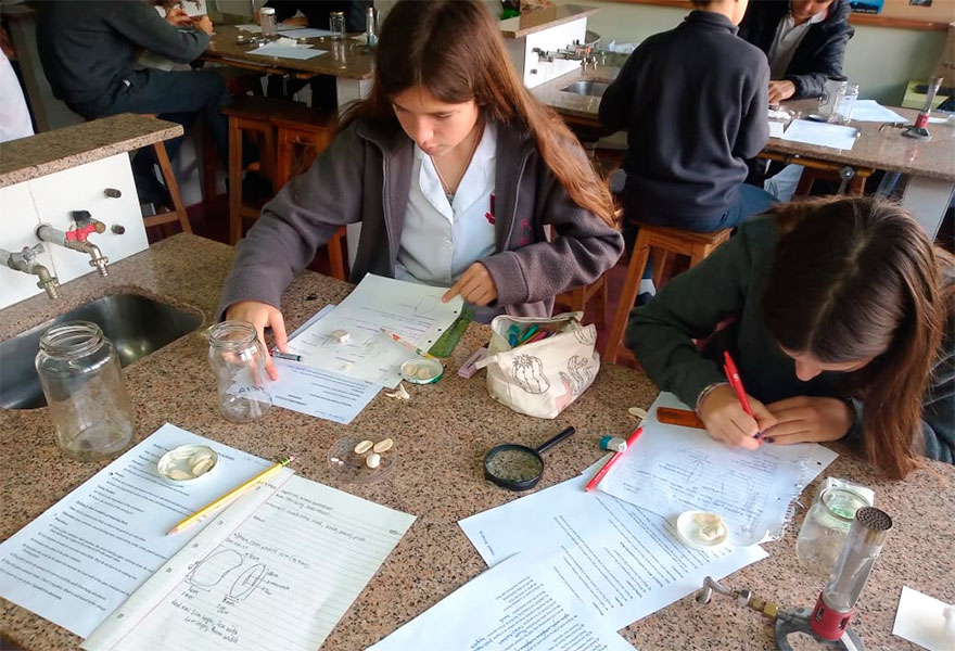 Senior 1 - Germinación - Colegio San Javier